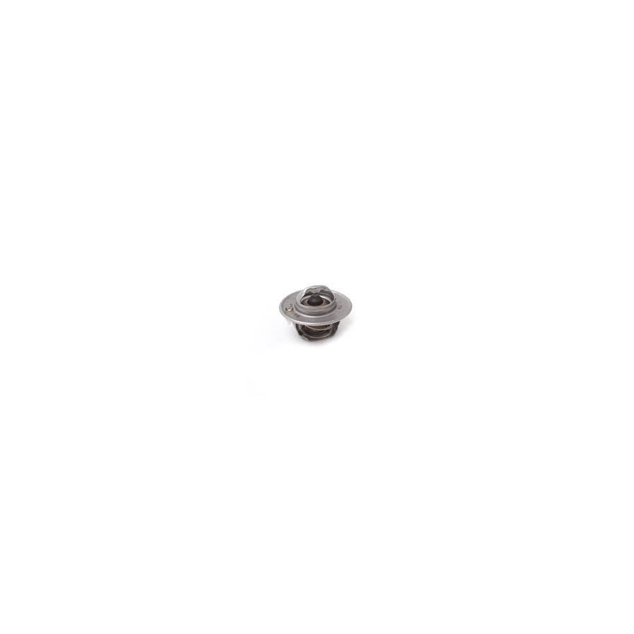 Thermostat 74 grader
