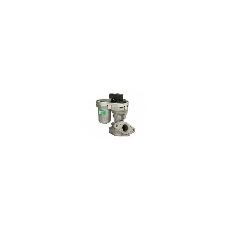 EGR ventil Tdci