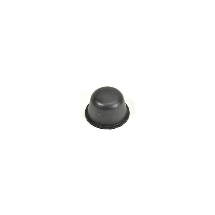 Hub cap old type