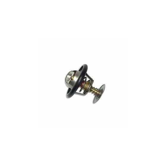 Termostat 300tdi
