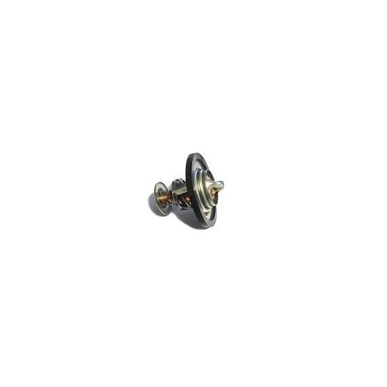 Termostat 200tdi