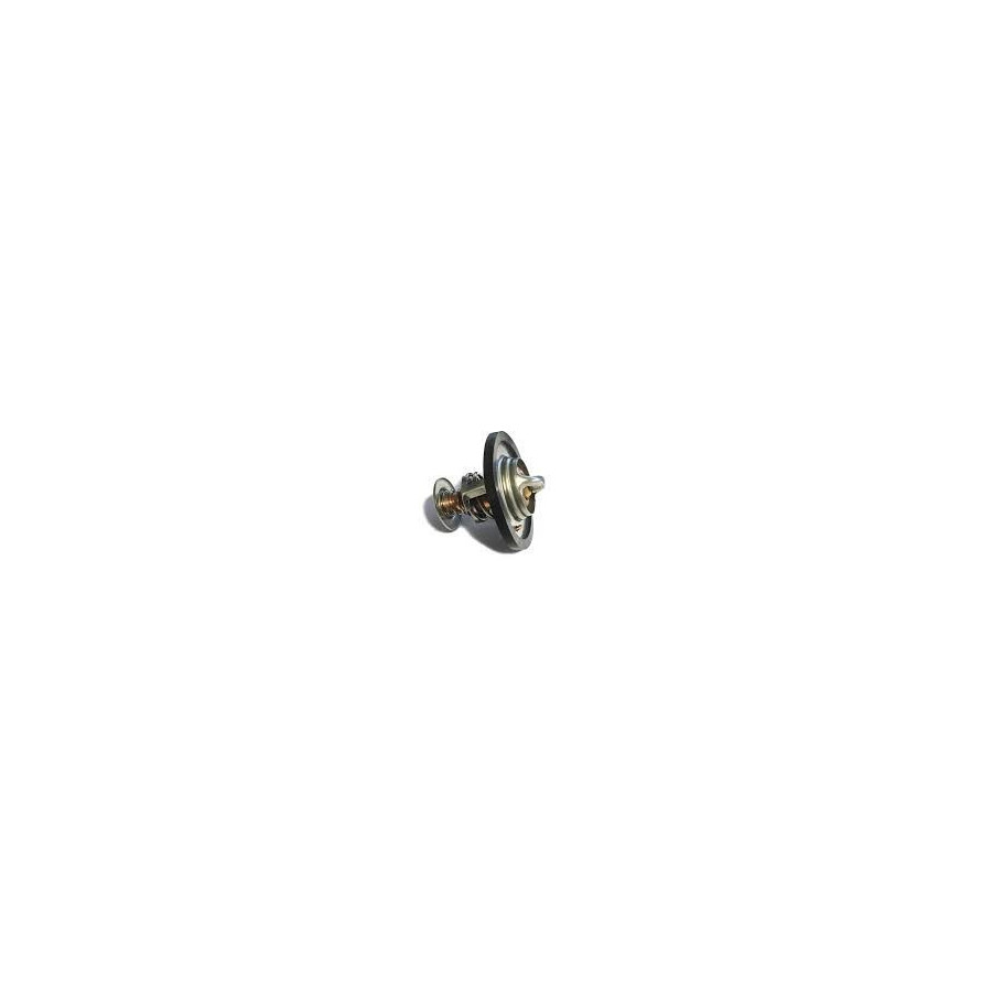 Termostat 200tdi