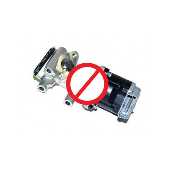 EGR Patching