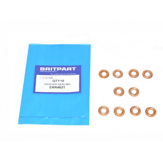 Injector 300Tdi