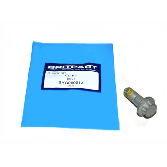 Bolt caliperfeste L320