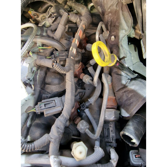 Dyselekkasje testverktøy L319