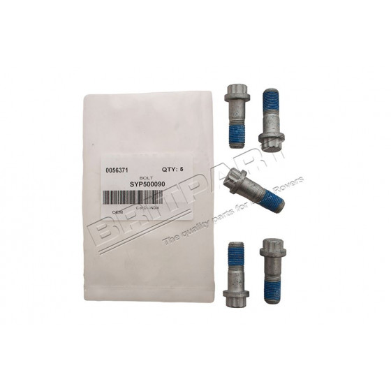 Bolt bremsecaliper 2007 og senere