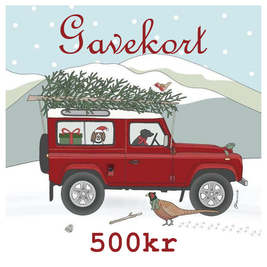 Gavekort Jul 500