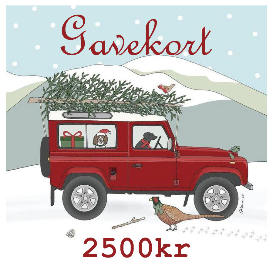 Gavekort Jul 2500