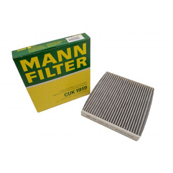 Pollenfilter
